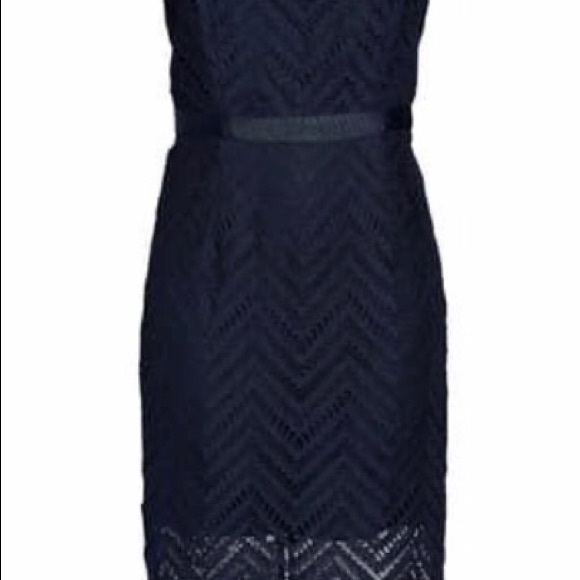 Bardot Lace Dress - Navy - Picture 3 of 7